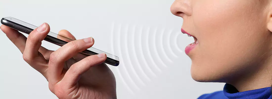 Residential and Commercial Voice Recognition Access Solutions in Gloucester, ON