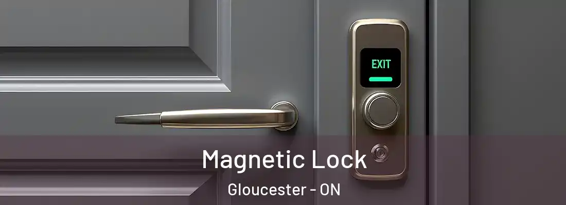  Magnetic Lock Gloucester - ON