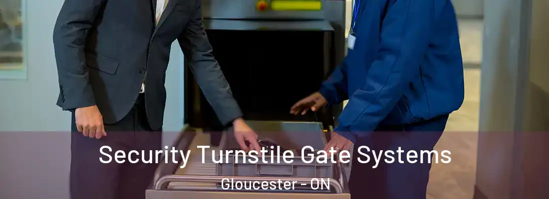 Security Turnstile Gate Systems Gloucester - ON